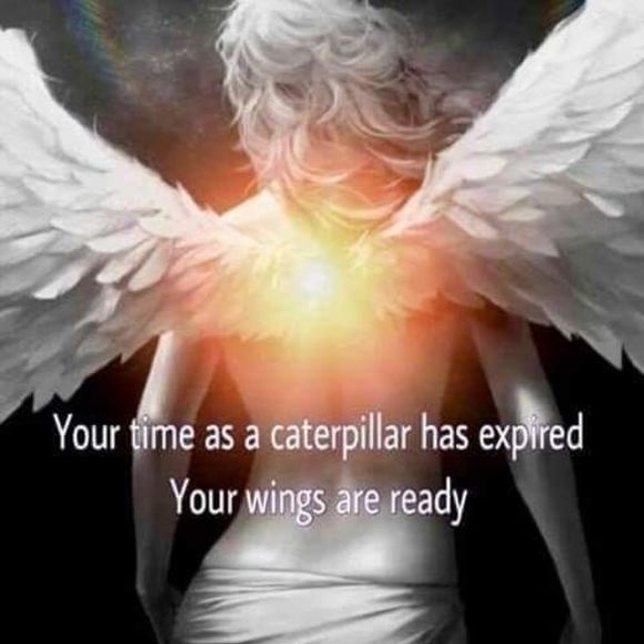 Meet your Posher, Anna - Picture 2 of 4